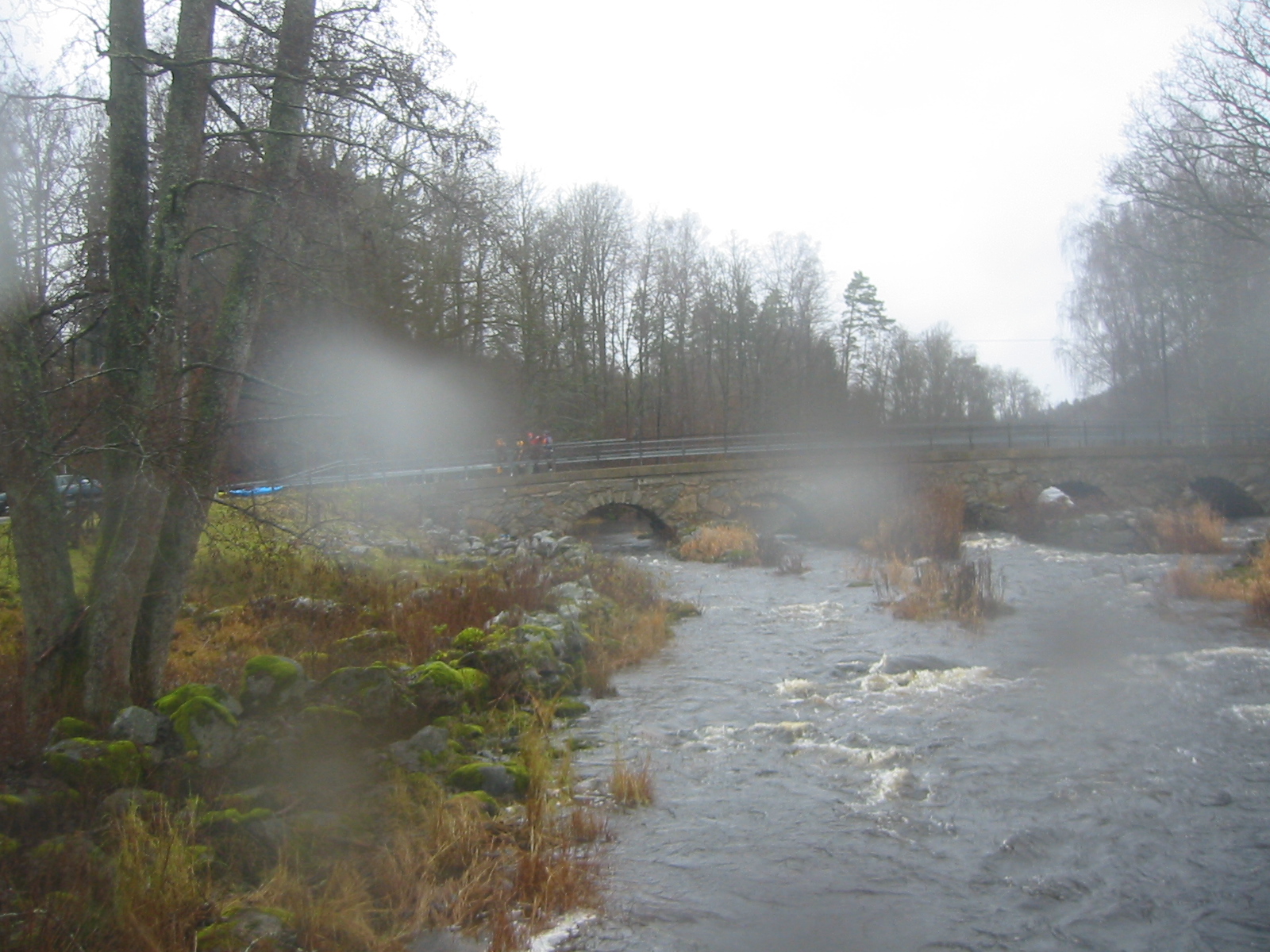 Mörum, november 2010